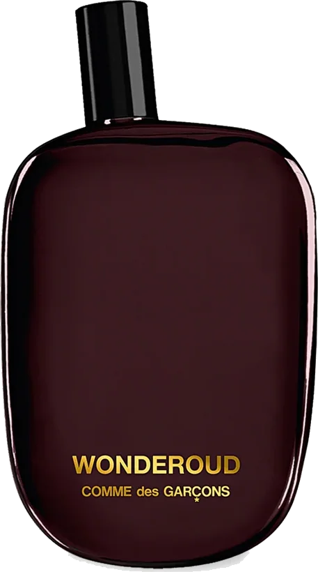 Comme des Garcons Wonderoud bottle
