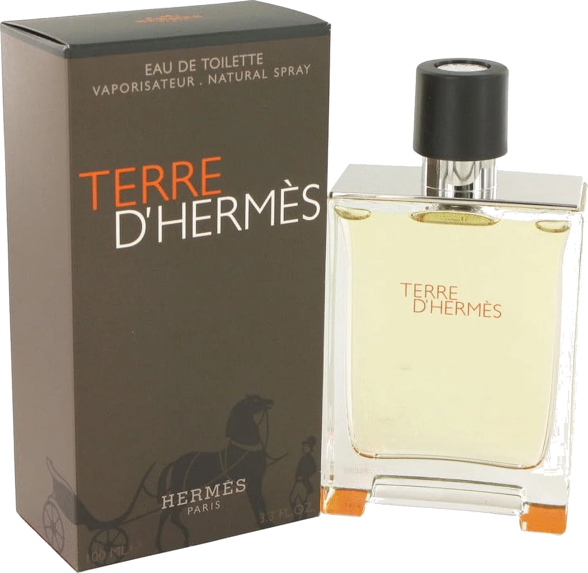 Hermès Terre d'Hermès Eau de Toilette bottle