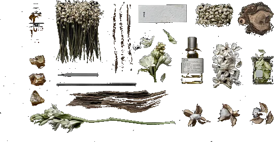 Le Labo Lys 41 bottle
